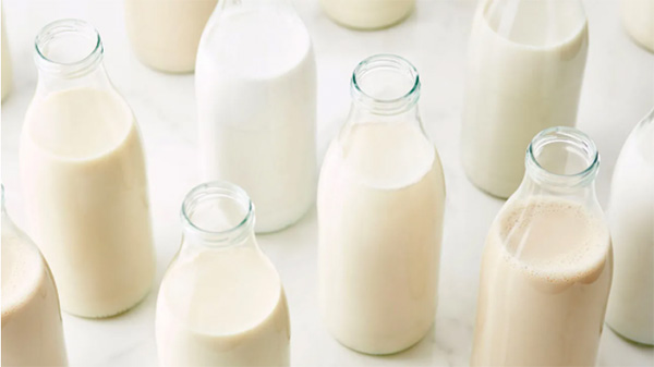 milk for spray drying
