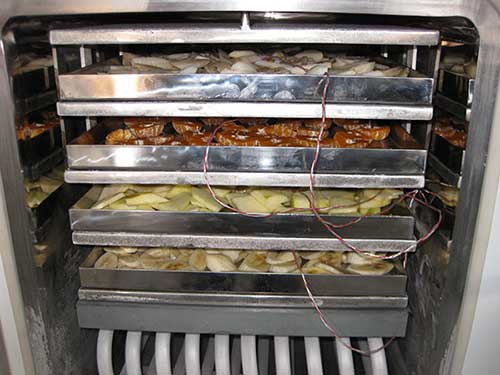 fruit freeze dryer fruit freeze dryer